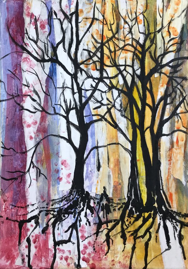 Shades Of Forest